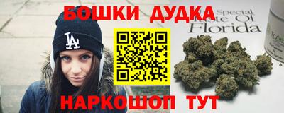 гидра Апрелевка