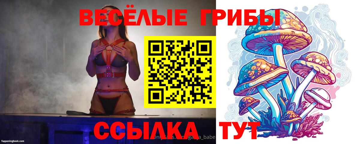 Галлюциногенные грибы Psilocybe  Вход с VPN  Апрелевка  как найти наркотики  Псилоцибиновые грибы Magic Shrooms 